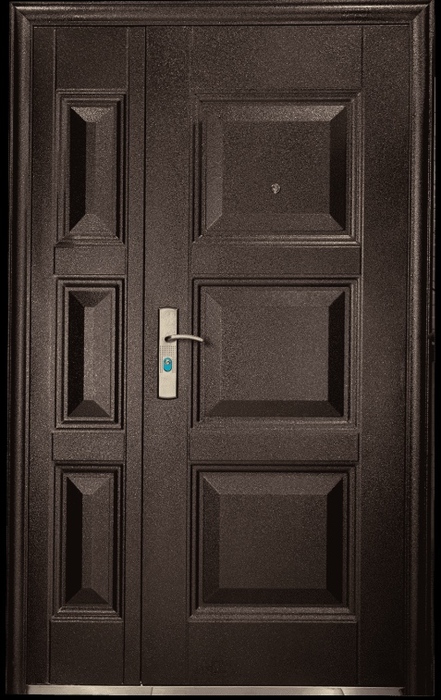 Дверь 1.20 х 2.05 ТРС 143 (порошок) правая 